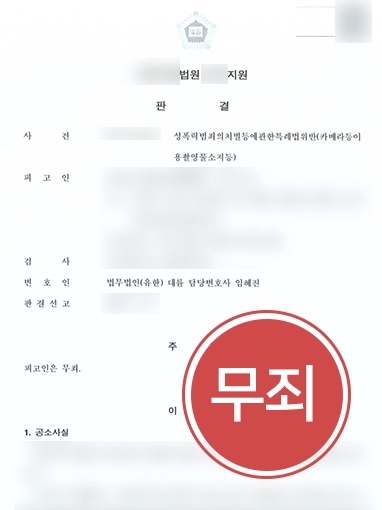 안양형사변호사 조력 사례 | 카메라등이용촬영물소지로 인해 형사고소 당한 의뢰인, 무죄 판결