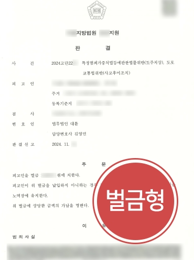 고양형사변호사 조력 사례 | 뺑소니 의뢰인 조력해 소액의 벌금형 