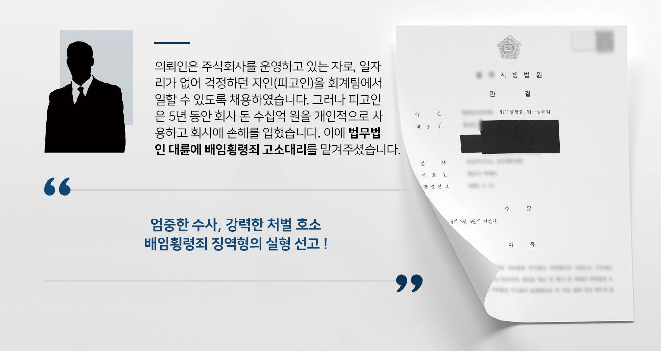 [배임횡령죄 고소대리] 피고인에 대한 징역형의 실형 선고 불가피하도록 상황 조성